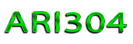ARI304